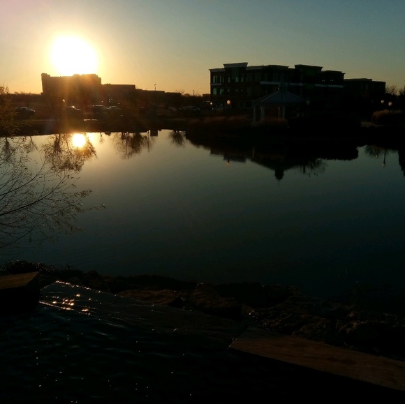 Meet your Posher, Lucas - Picture 1 of 1